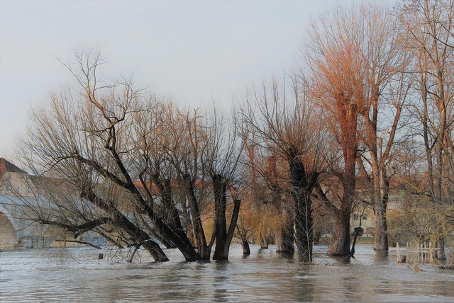 AöW veröffentlicht Positionspapier „Hochwasser und Starkregen – Land und Stadt auf die Klimafolgen vorbereiten“