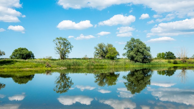 Naturschutz / Naturschutzgroßprojekt